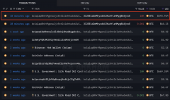 「美国政府」关联地址将1万枚BTC转移至Coinbase Prime