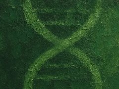 DeSci 能否解决科研资助的“破窗效应”？