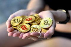 寻找下一个Alpha?提前埋伏24个即将TGE或主网的潜力项目