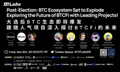 大选后 BTC 生态即将爆发，跟随人气项目深入探讨 BTCFi 的未来！137SPS032